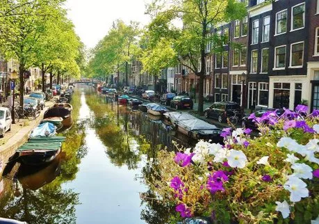 Las flores en los canales de Amsterdam