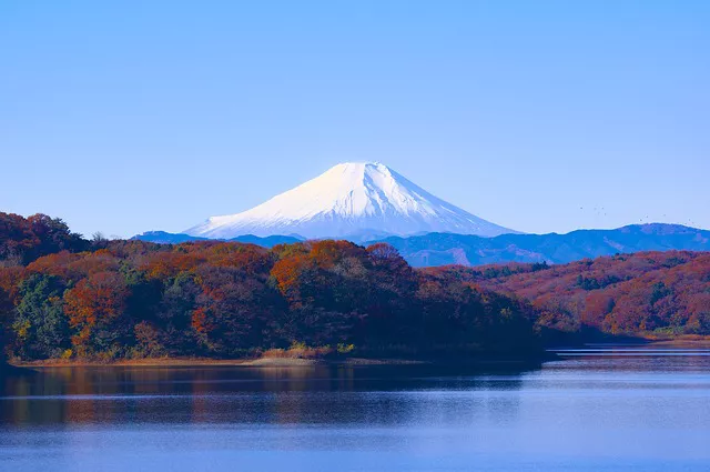 Excursión Monte Fuji 