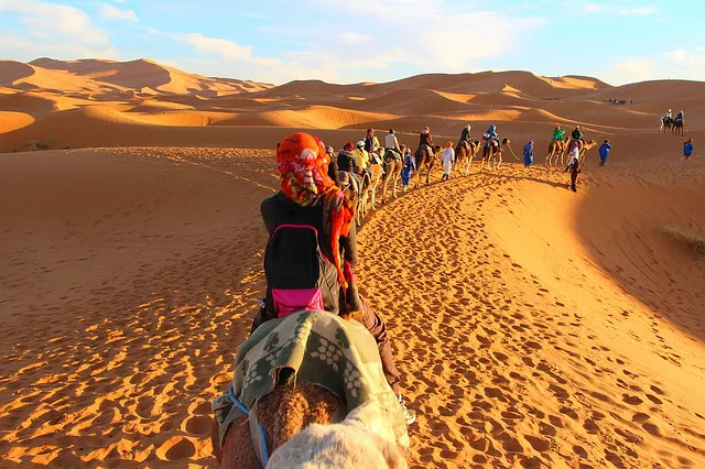 Excursión desierto del Sahara