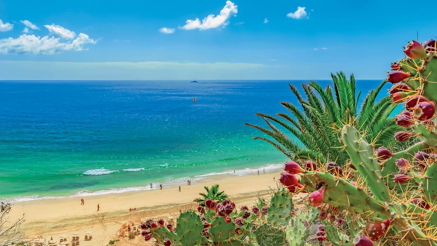 Fin de Año Fuerteventura Todo Incluido