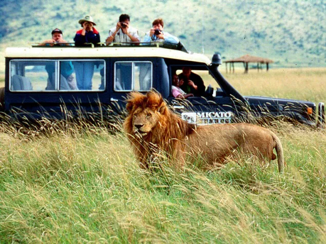 Viaje y safari en Kenya