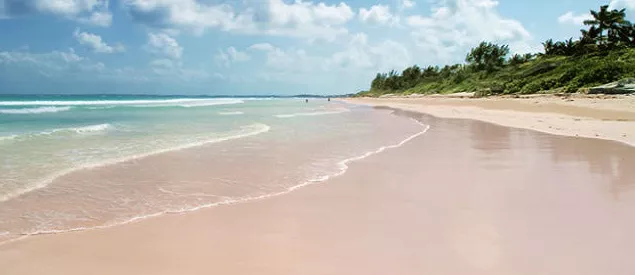 Pink Sand Beach, Bahamas