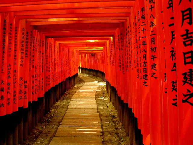 Torii del santuario Fushimi Inari Taisha
