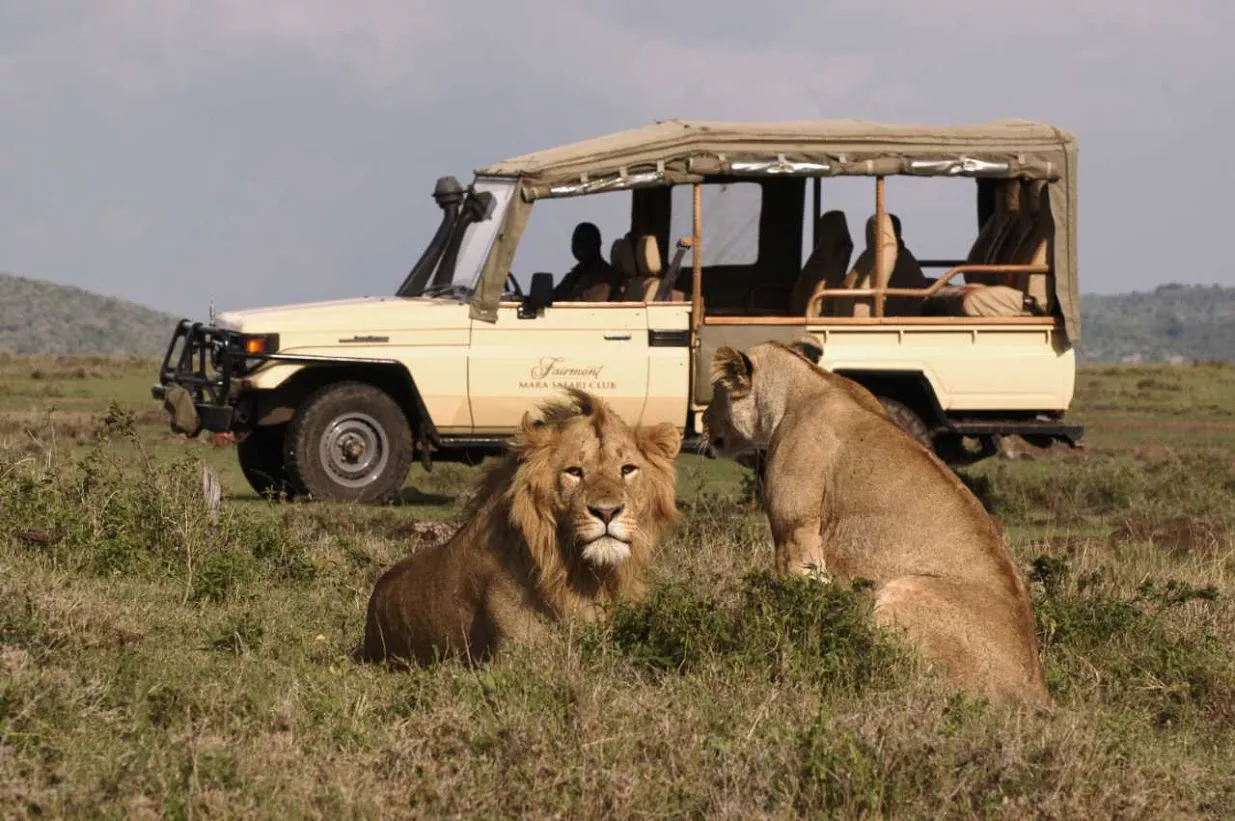Consejos para realizar un safari en África