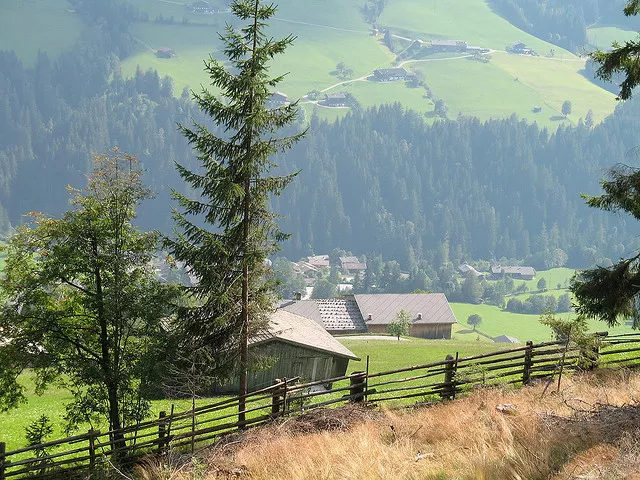 pirineo austriaco 
