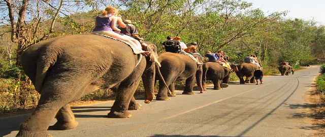 Viaje a Tailandia Paseo en Elefante