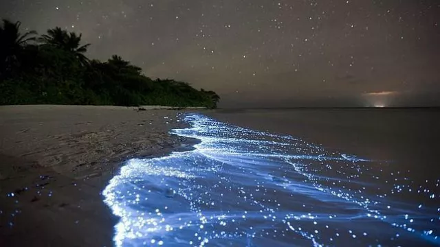 Playa Islas Maldivas