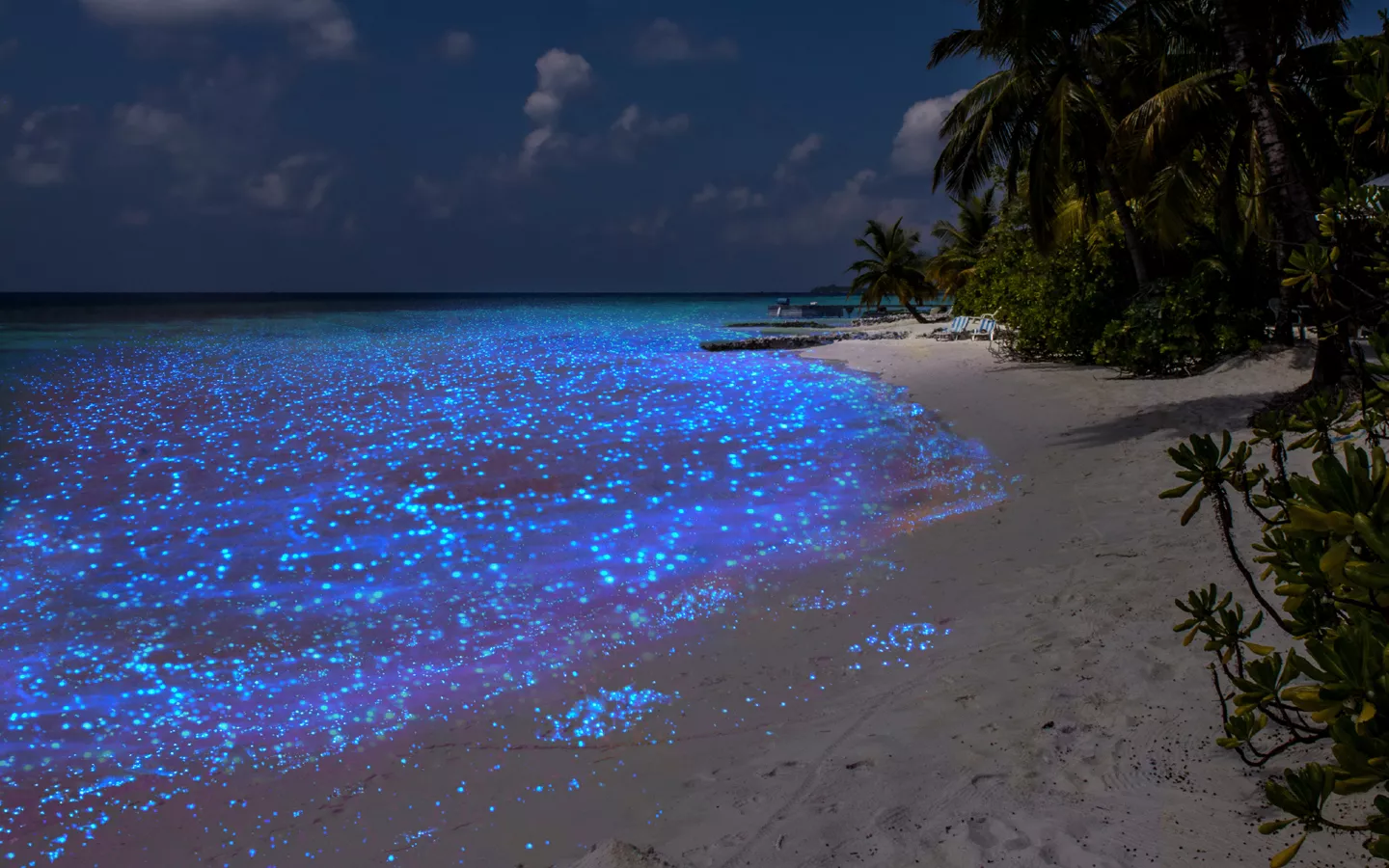 Viaje Islas Maldivas, Mar de Estrellas