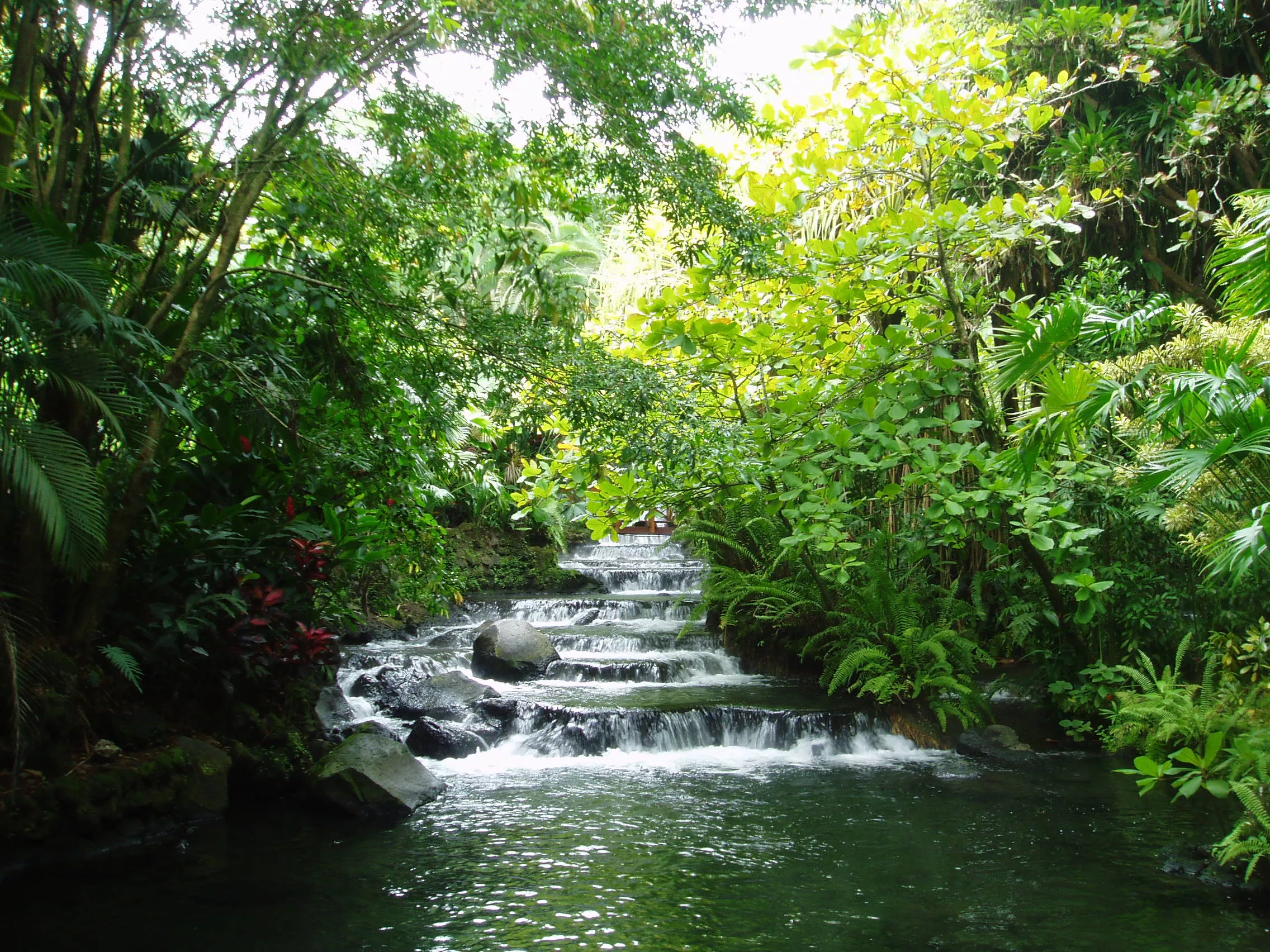 Parques Nacionales Costa Rica
