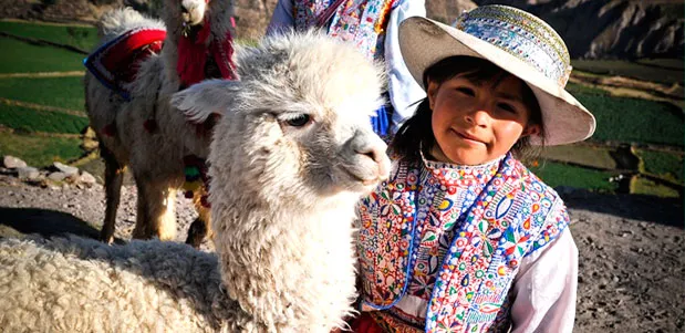 Alpaca y chica peruana en la sierra de perú