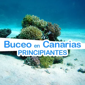 Buceo en Canarias para principiantes