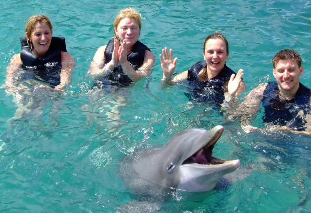 Delfines Jamaica