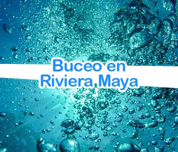 Buceo en Riviera Maya