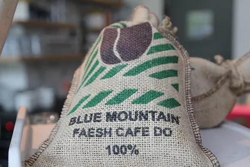 caffe blue mountain