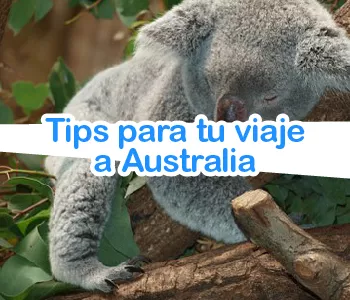 Consejos para tu viaje a Australia
