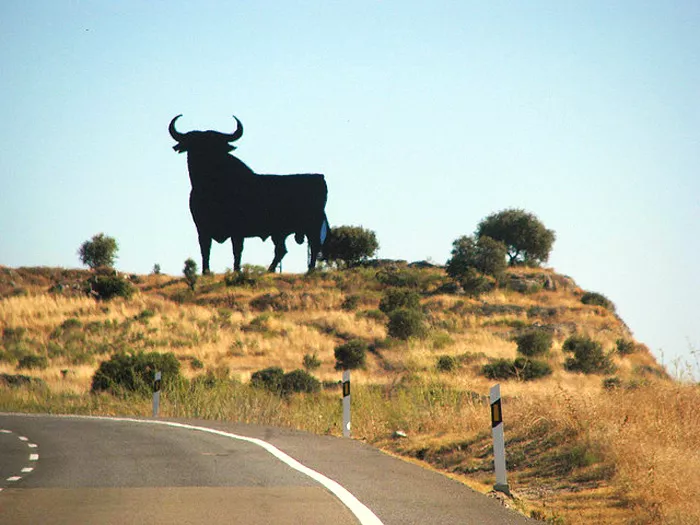 Toro carretera de España