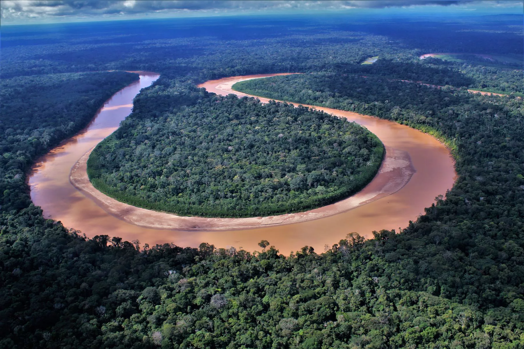 Bosque lluvioso del Amazonas