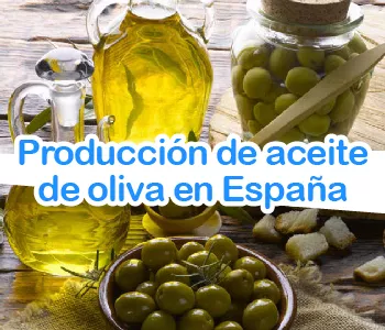 Producción del aceite de oliva en España