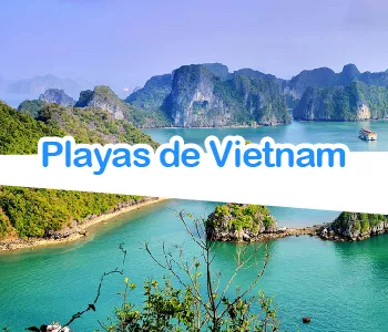 ¿Que playas puedes ver en Vietnam?
