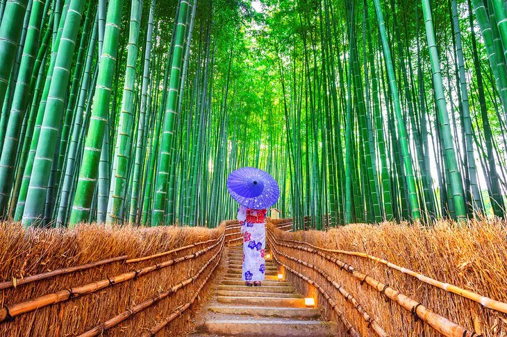 El bosque de bambú de Arashiyama