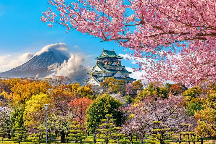El castillo de Osaka y los cerezos en flor con el monte Fuji en la distancia
