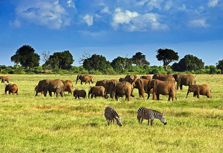 Parque Nacional de Tsavo