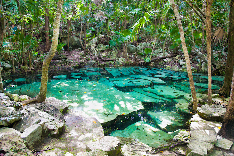 Los 14 mejores cenotes del Yucatán mexicano