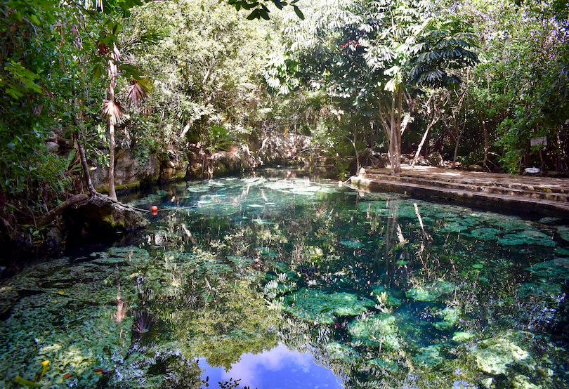 Los 14 mejores cenotes del Yucatán mexicano