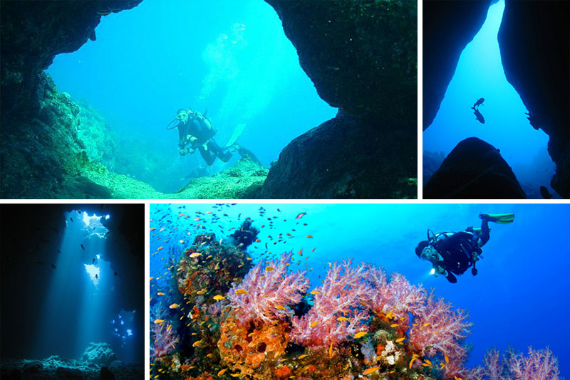 6 de los mejores lugares para bucear en el Océano Índico