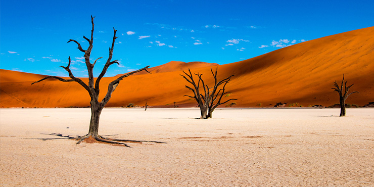 La guía definitiva de Namibia