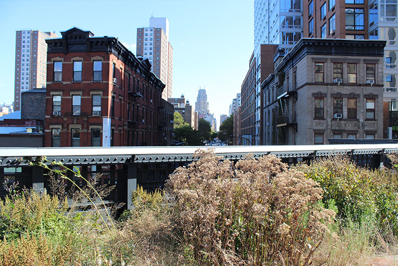 Por qué tienes que caminar por la High Line de Nueva York
