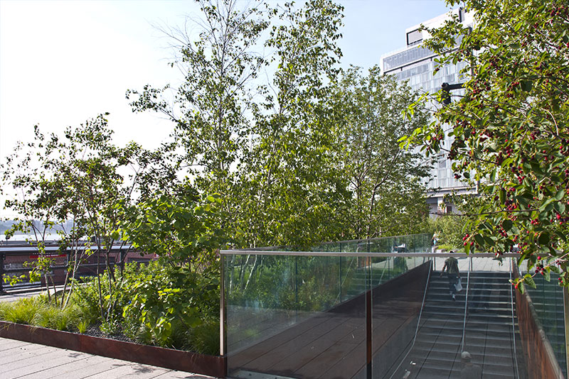 Por qué tienes que caminar por la High Line de Nueva York