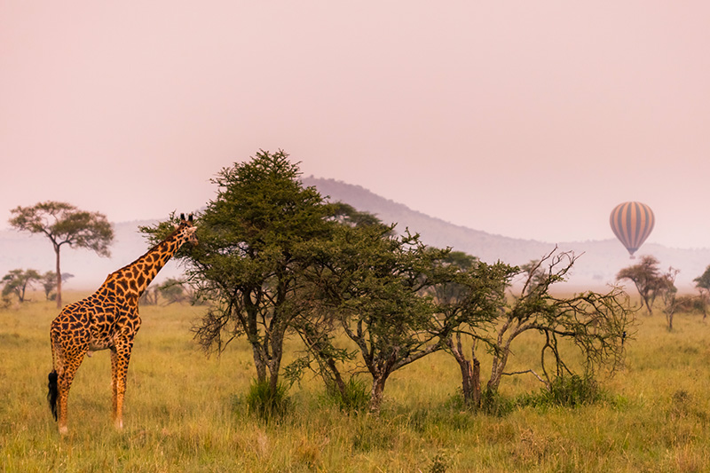¿Por qué visitar Kenia? Nuestra guía de vida salvaje, cultura y playa