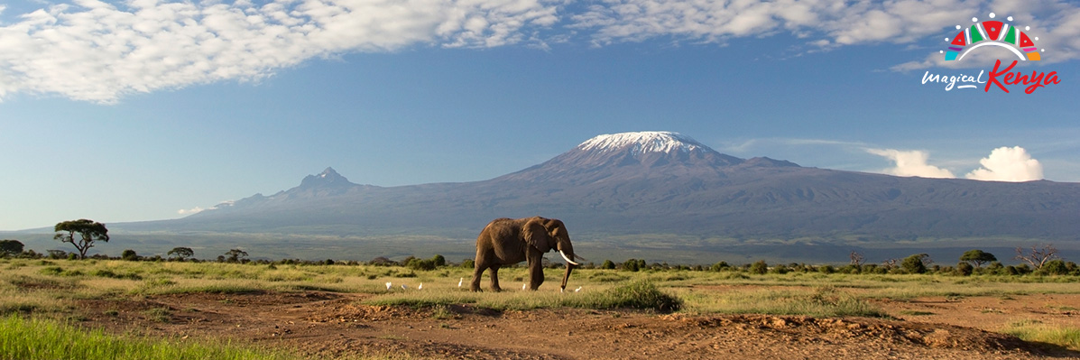 ¿Por qué visitar Kenia? Vida salvaje, cultura y playa