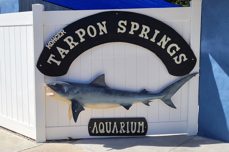 Las 12 mejores cosas que hacer en Tarpon Springs, FL