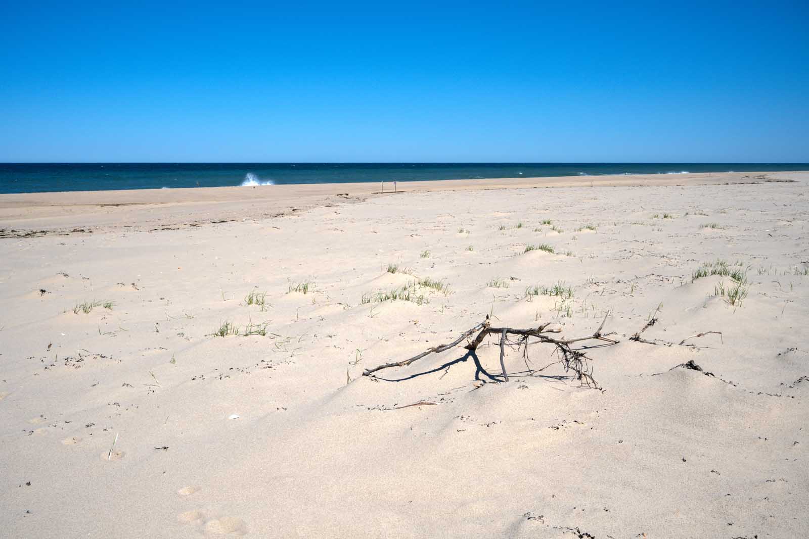 Las 28 mejores playas de Estados Unidos