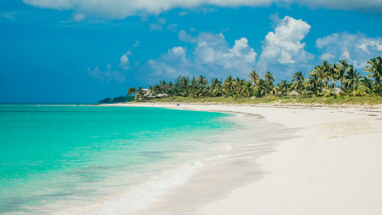 Qué hacer en tu lujoso viaje a las Bahamas