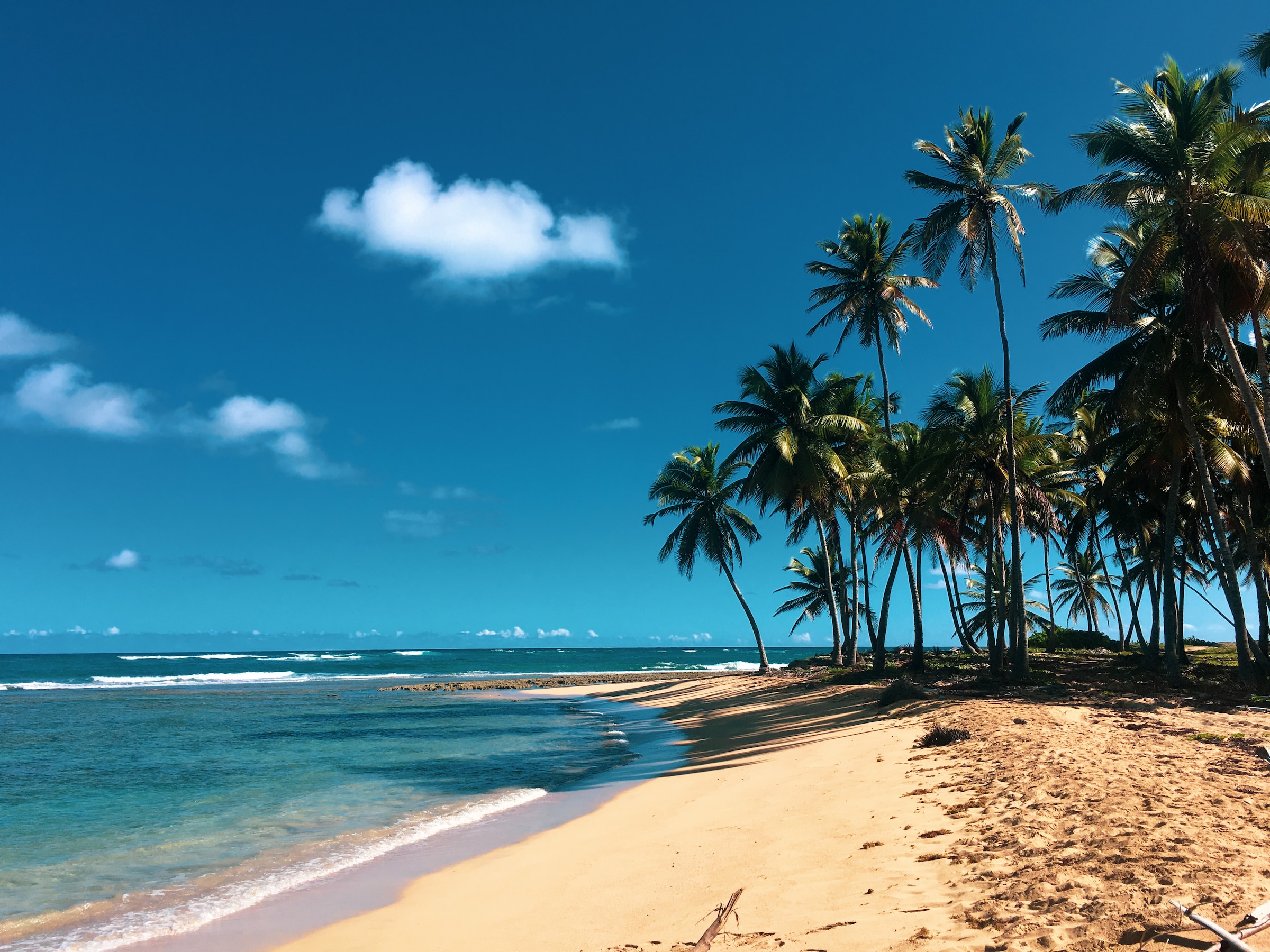 5 playas del Caribe de las que no querrás volver