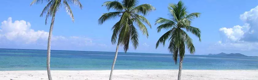 Luna de miel a Roatan