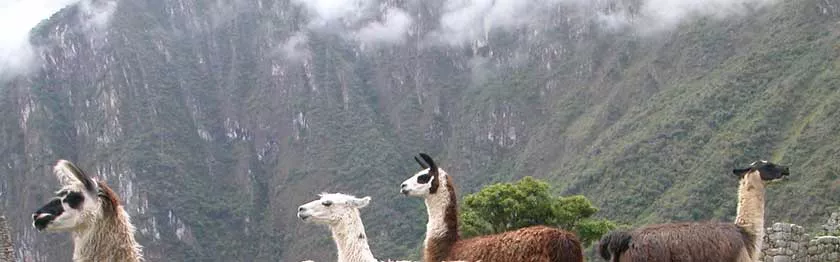 Especial Trekking: Camino Inca a Machu Picchu