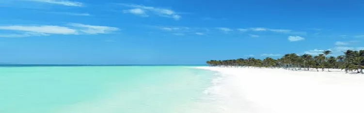 Punta Cana todo incluido