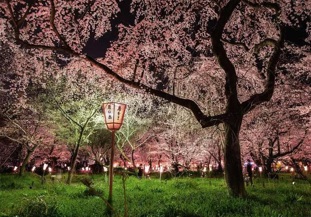 Viaje a Japon Islas Maldivas Combinado Japon y Maldivas