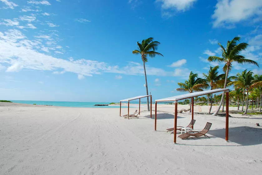 Puente de Diciembre en Hotel Bahia Principe Punta Cana