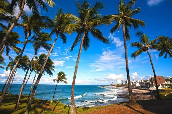 salvador de bahia y Playas