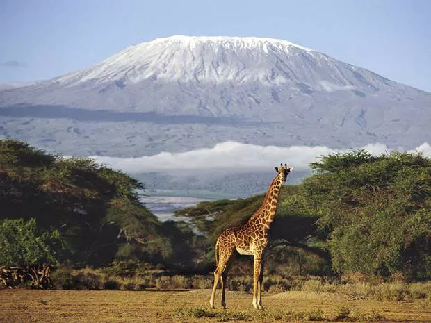 Safari a Tanzania