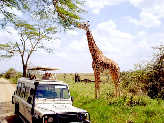 Tanzania Zanzibar