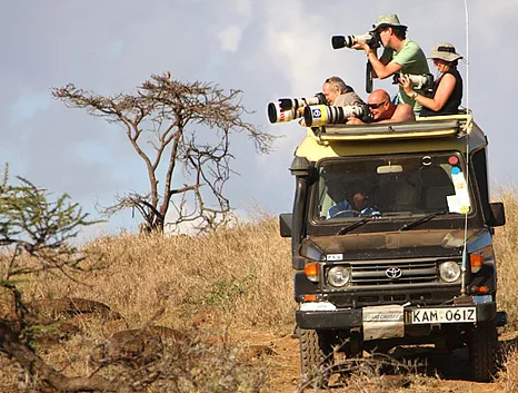 Safari especial Tanzania Sur