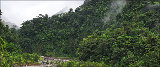 parque nacional braulio carrillo circuito por costa rica