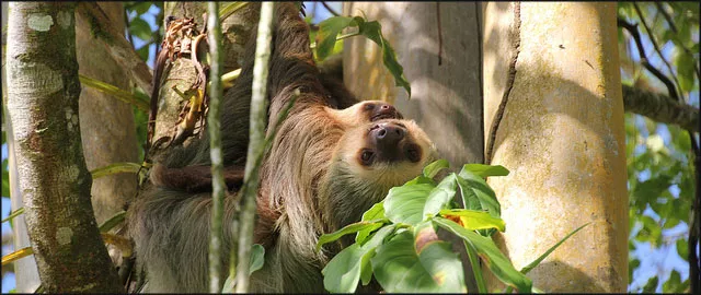 circuitos por costa rica