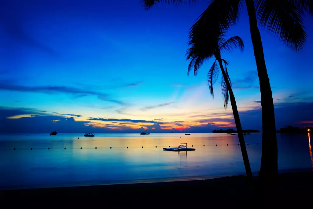 Viajes a Jamaica